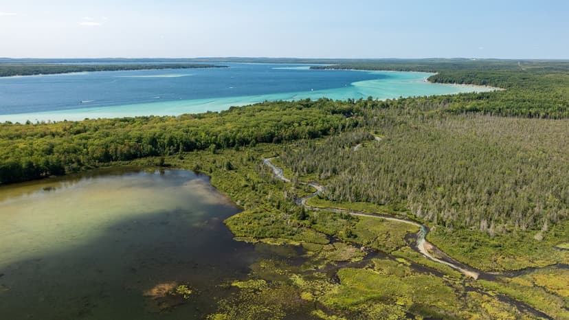 Michigan Terrestrial Restoration