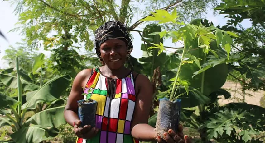 This is a gallery image