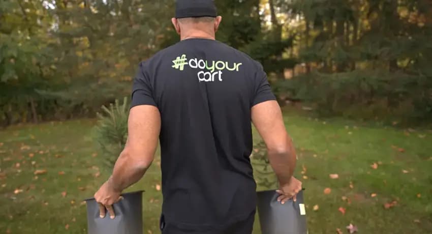 This is a gallery image