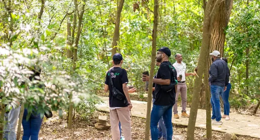 This is a gallery image