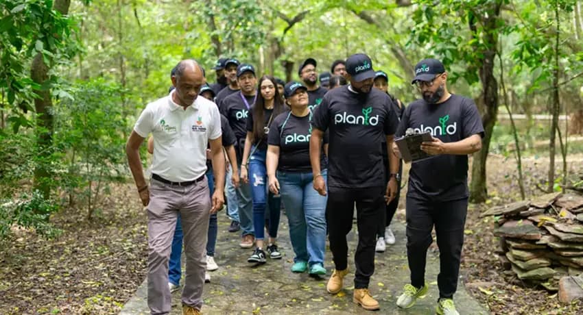 This is a gallery image