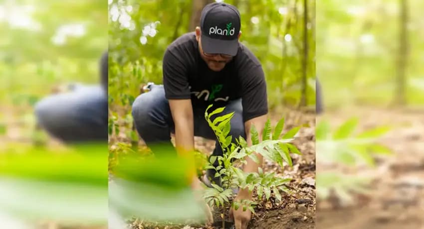 This is a gallery image