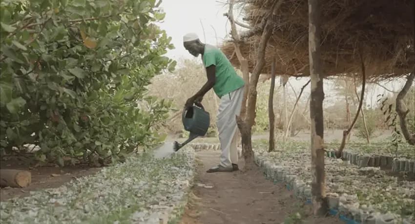 This is a gallery image